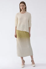 Pleats Art Style Pleated Skirt – Fish Scale Gradient High-Waist A-Line
